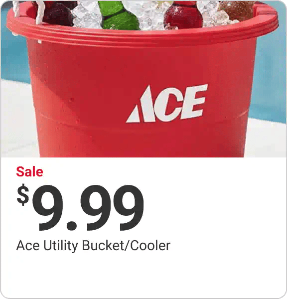 Utility Bucket / Cooler On Sale for $9.99