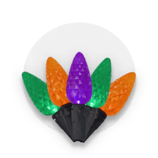 Halloween and Fall Decor
