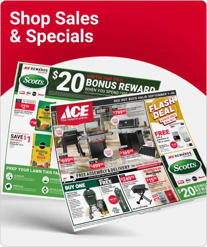 Shop Sales & Specials