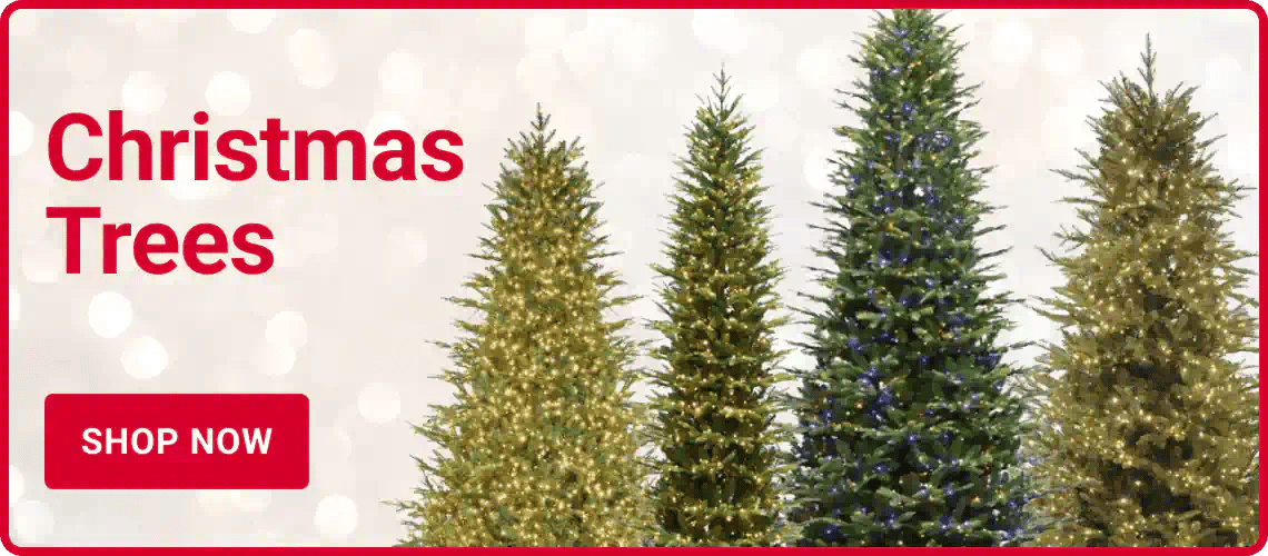 Christmas Trees - Shop Now