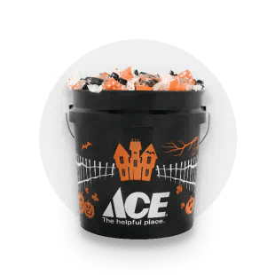 Halloween & Fall Décor