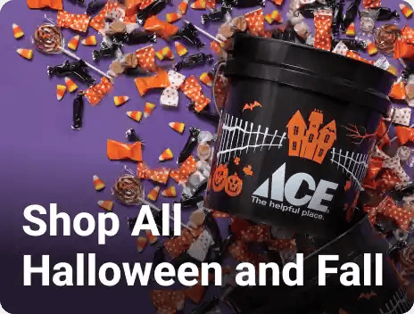 Shop All Halloween and Fall