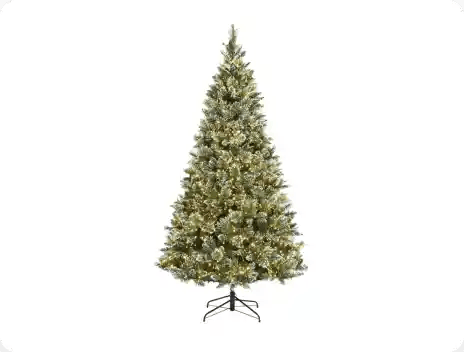 Christmas Trees