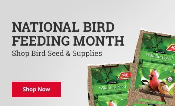 National Bird Feeding Month