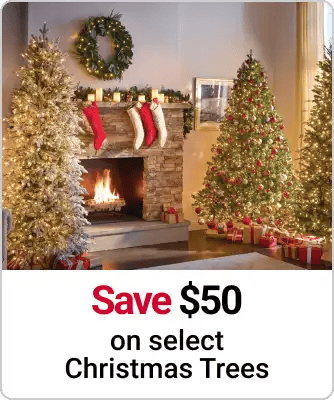 Save $50 on select Christmas Trees