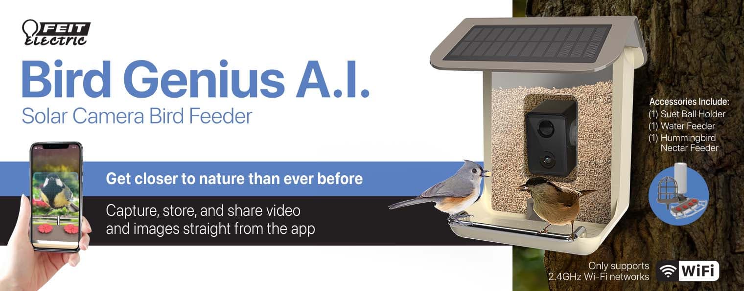 Feit Bird Genius A.I. Wild Bird 2.5 L Plastic Solar Camera Smart