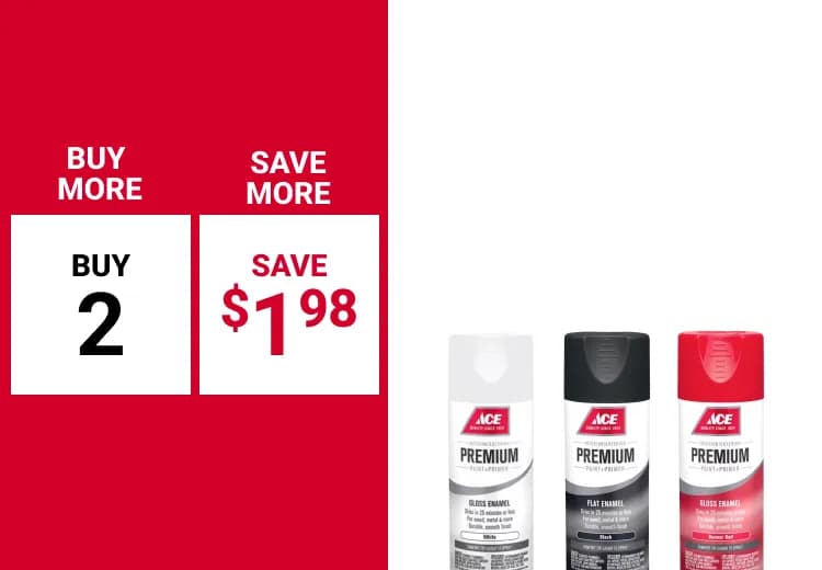 Buy More and Save on select Ace Premium Spray Paint 12 oz.