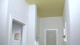 Ceiling