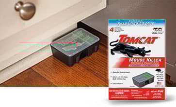 Insect & Pest Control