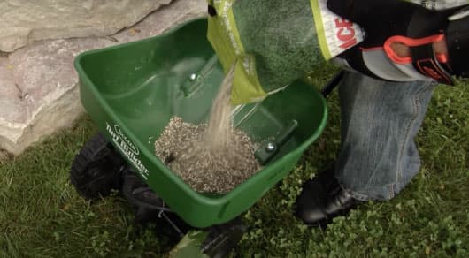 How To Fertilize Your Lawn