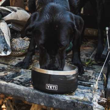 Lone Star Yeti Dog Bowl - Taste of Texas