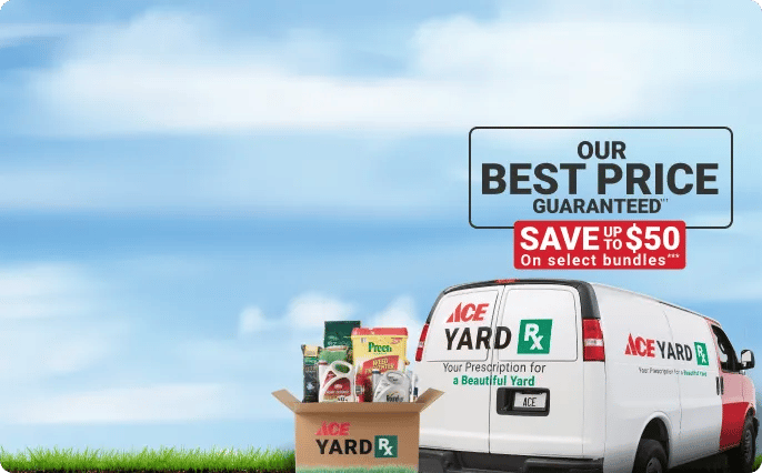 Ace Hardware