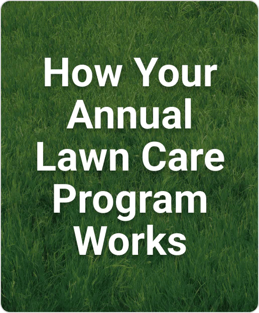 How Your Annual Lawn Care Program Works