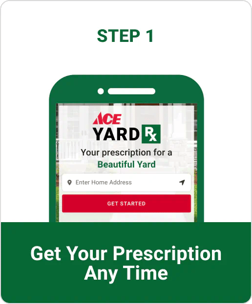 Step 1 - Get Your Prescription Any Time