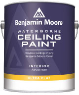 Benjamin Moore 1 In. Nylon/Polyester Thin Angle Sash Paint Brush - Town  Hardware & General Store