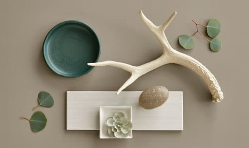 color inspiration