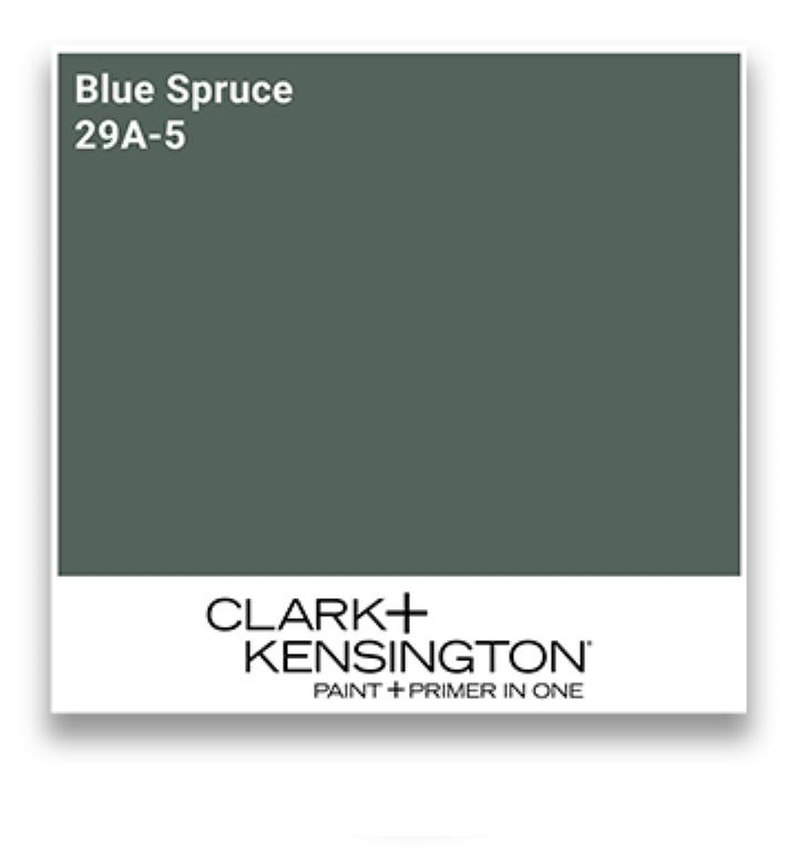 Blue Spruce
