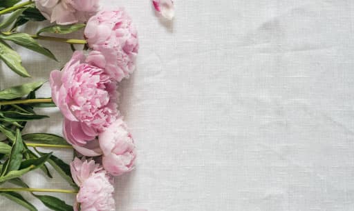 color inspiration