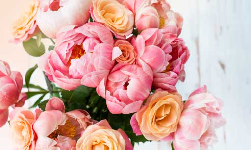 color inspiration
