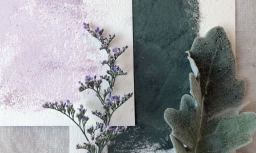 color inspiration