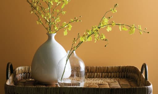 color inspiration