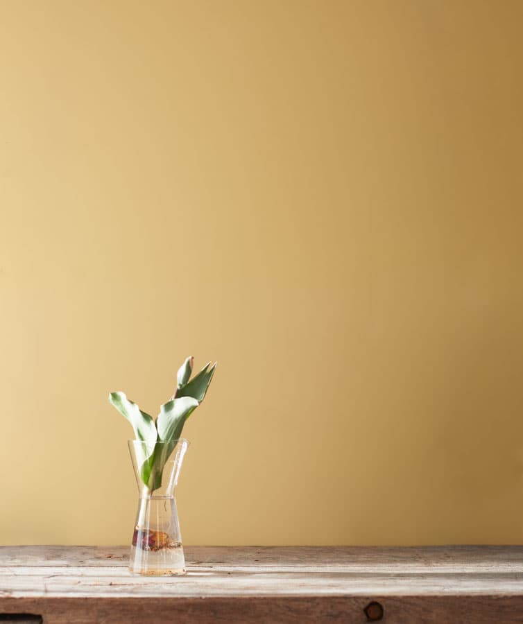 Color of the Month may 2021
