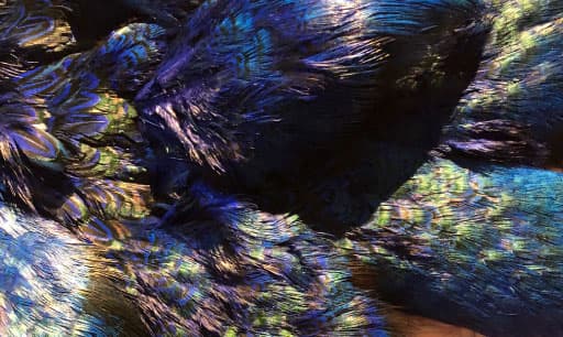 color inspiration