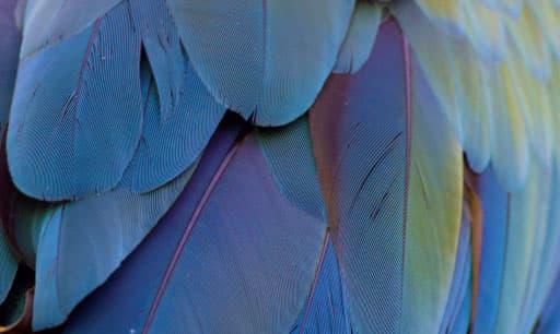 color inspiration
