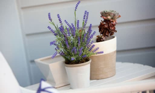color inspiration