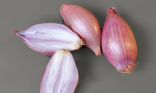 color inspiration