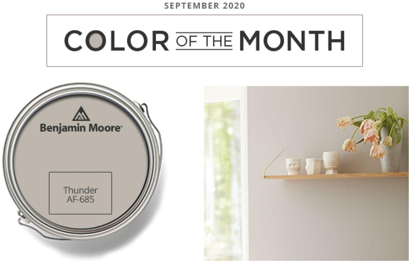 Color of the Month - september 2020 - Thunder