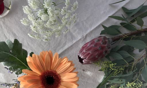 color inspiration