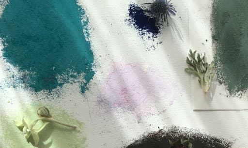 color inspiration