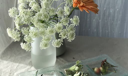 color inspiration