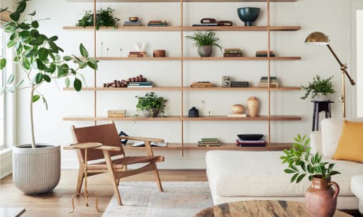color inspiration