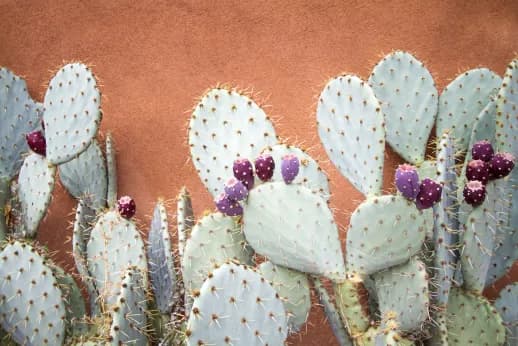 color inspiration