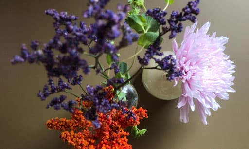 color inspiration