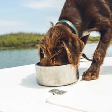 YETI Boomer Dog Bowl - 4 Cups - River Green - TackleDirect