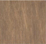 Aged Leather