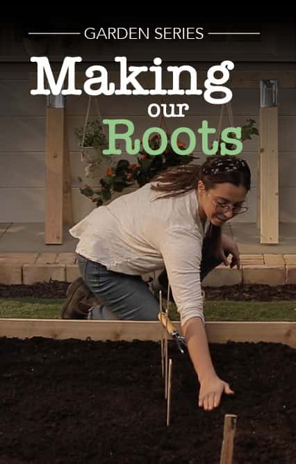 Making Our Roots