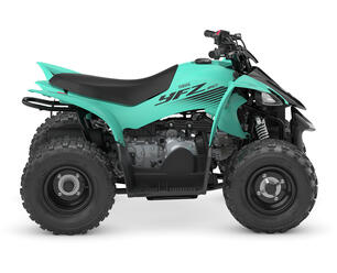 Thumbnail of the 2025 YFZ50