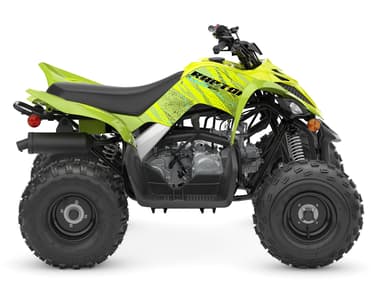 Thumbnail of the 2026 Raptor 110