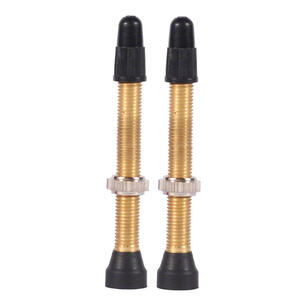 Thumbnail of the WTB Brass TCS Valve: 46mm (Pair)