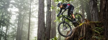 Thumbnail of the Toronto Bicycle Show & E-Bike Expo