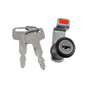 Thumbnail of the Single-Piece Lock Set