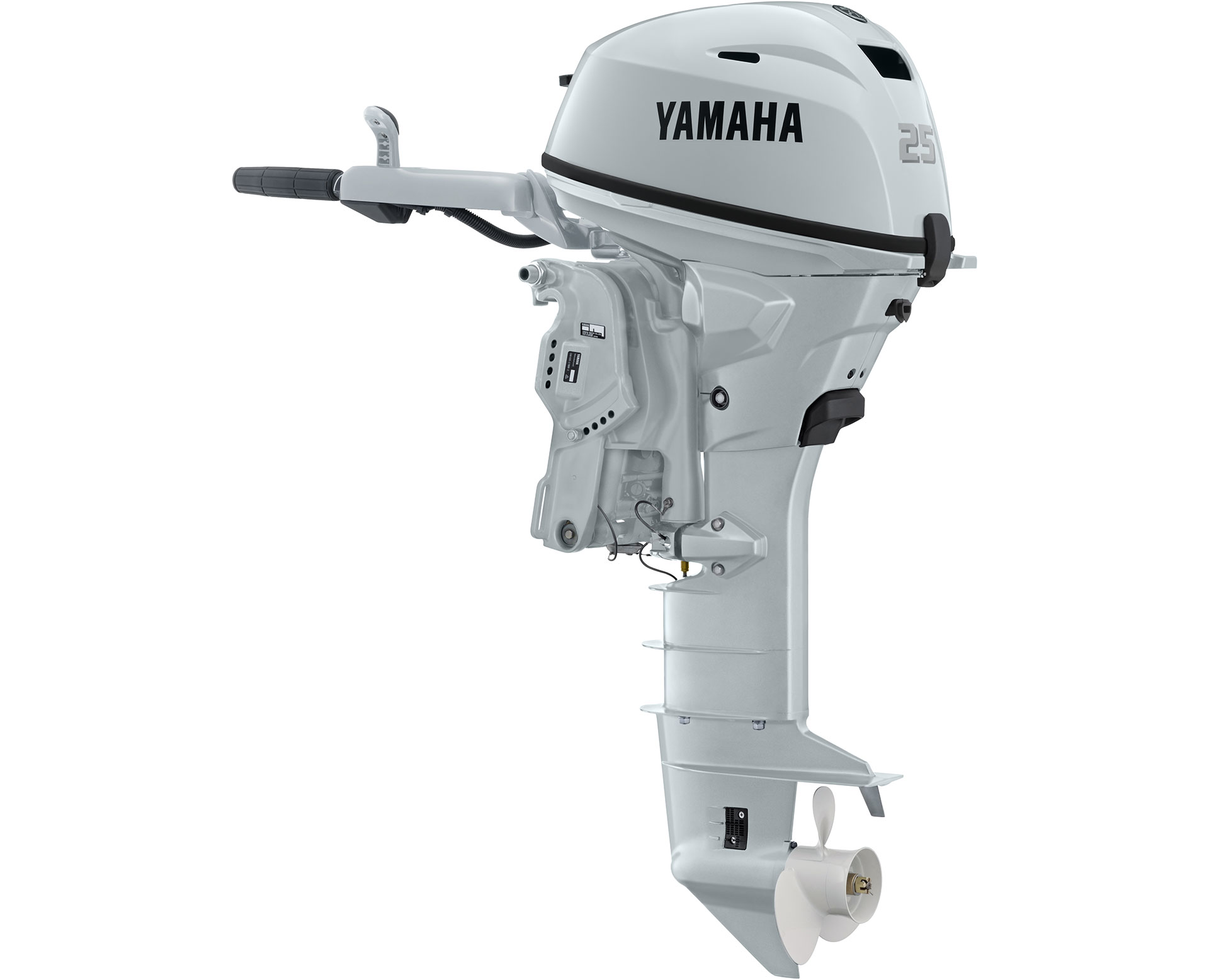 Moteur Hors-bord Yamaha M15 Pour Barque, Pêche En Eau Douce – Occasion