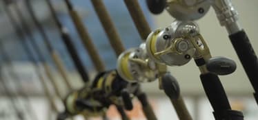Thumbnail of the What’s the Deal with Rods and Reels?