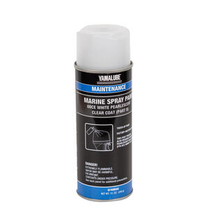 Thumbnail of the Touch-Up Paint - Clear