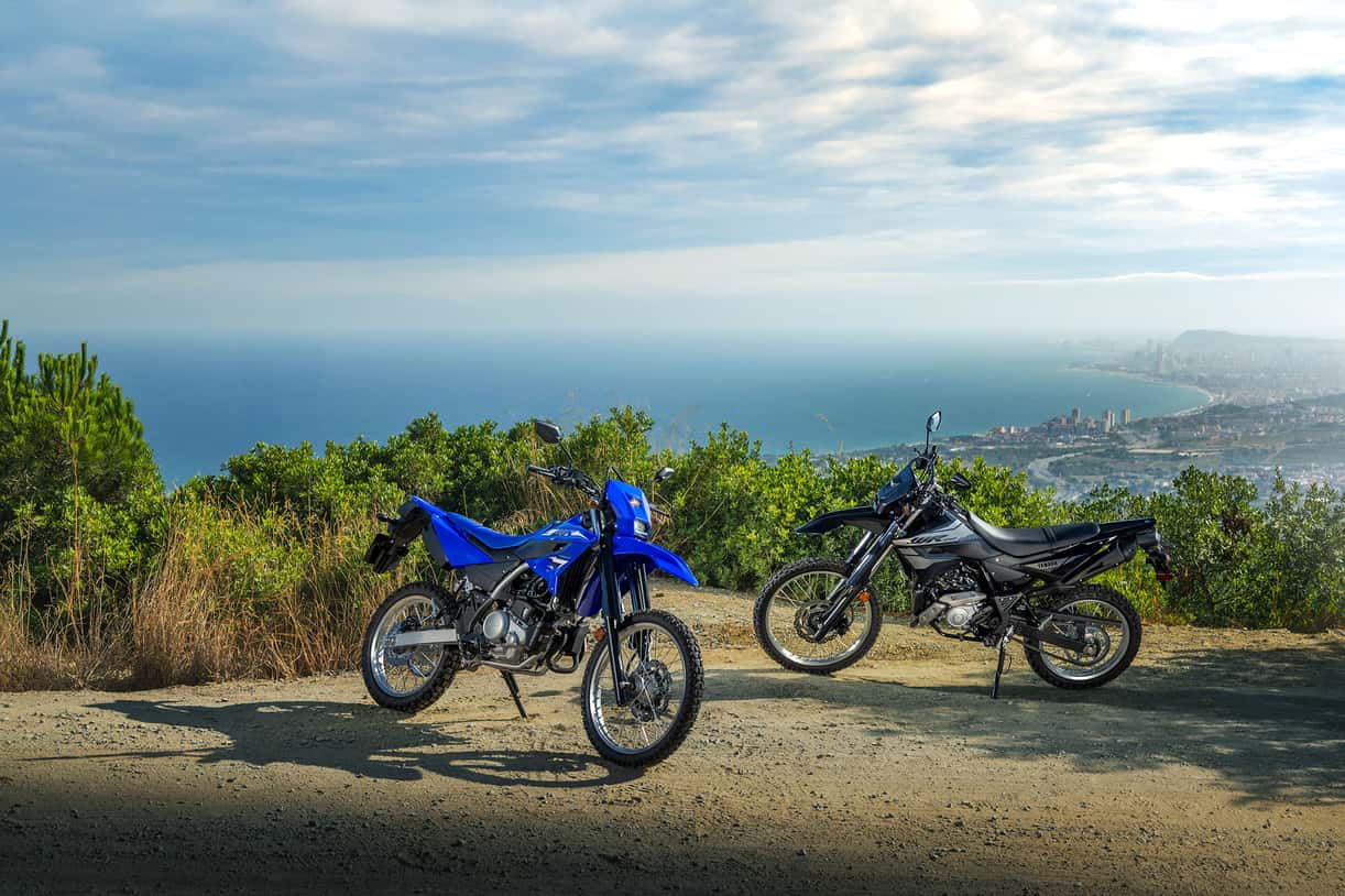 Full image of gallery image 3