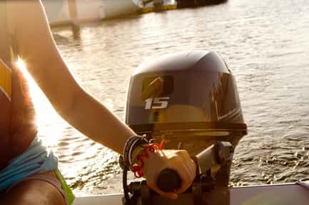 Thumbnail image of gallery image 5